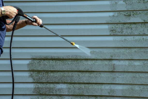 Best Sidewalk and Walkway Cleaning  in Frewsburg, NY